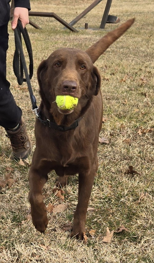 Tango: At shelter