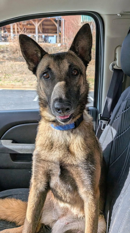 Wink: Not at shelter (Tiffany)