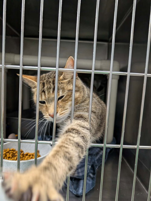 Braking - At shelter