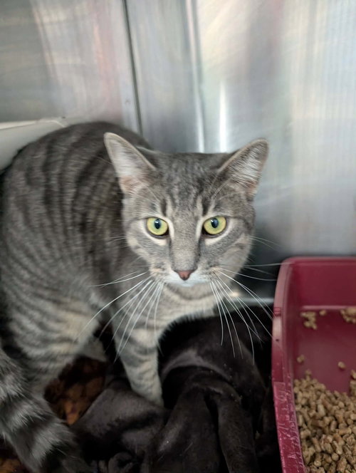 Kevin - At shelter