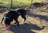 Bianca - At shelter