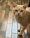 Nicolas - Not At shelter (April)