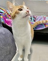Venus: Not at shelter (Kristy)