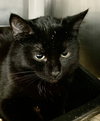 Freeze: Not at Shelter (Faith) - Photo 2