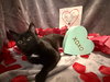 Freeze: Not at Shelter (Faith) - Photo 4