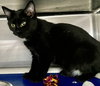 Freeze: Not at Shelter (Faith)