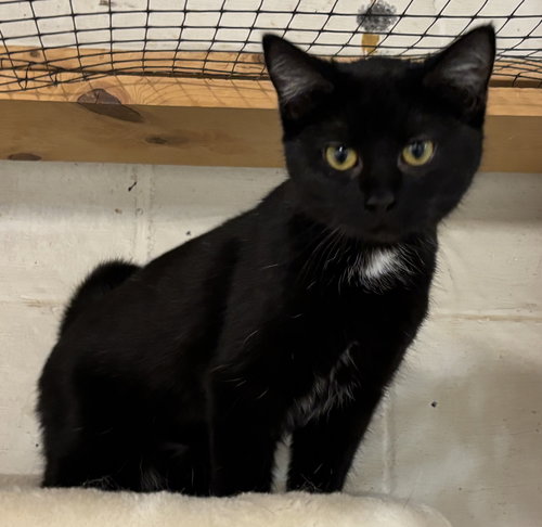 Blizzard: Not at shelter (Barbe)