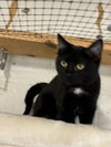 Blizzard: Not at shelter (Barbe)