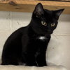 Blizzard: Not at shelter (Barbe)