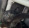 Squall - At shelter - Photo 1