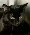 Squall: Not at Shelter (Faith)