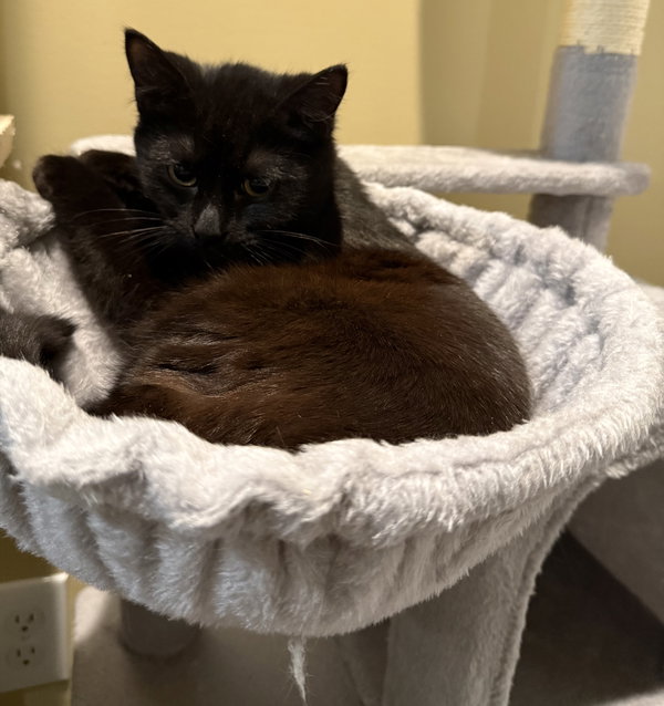 Squall: Not at Shelter (Faith)