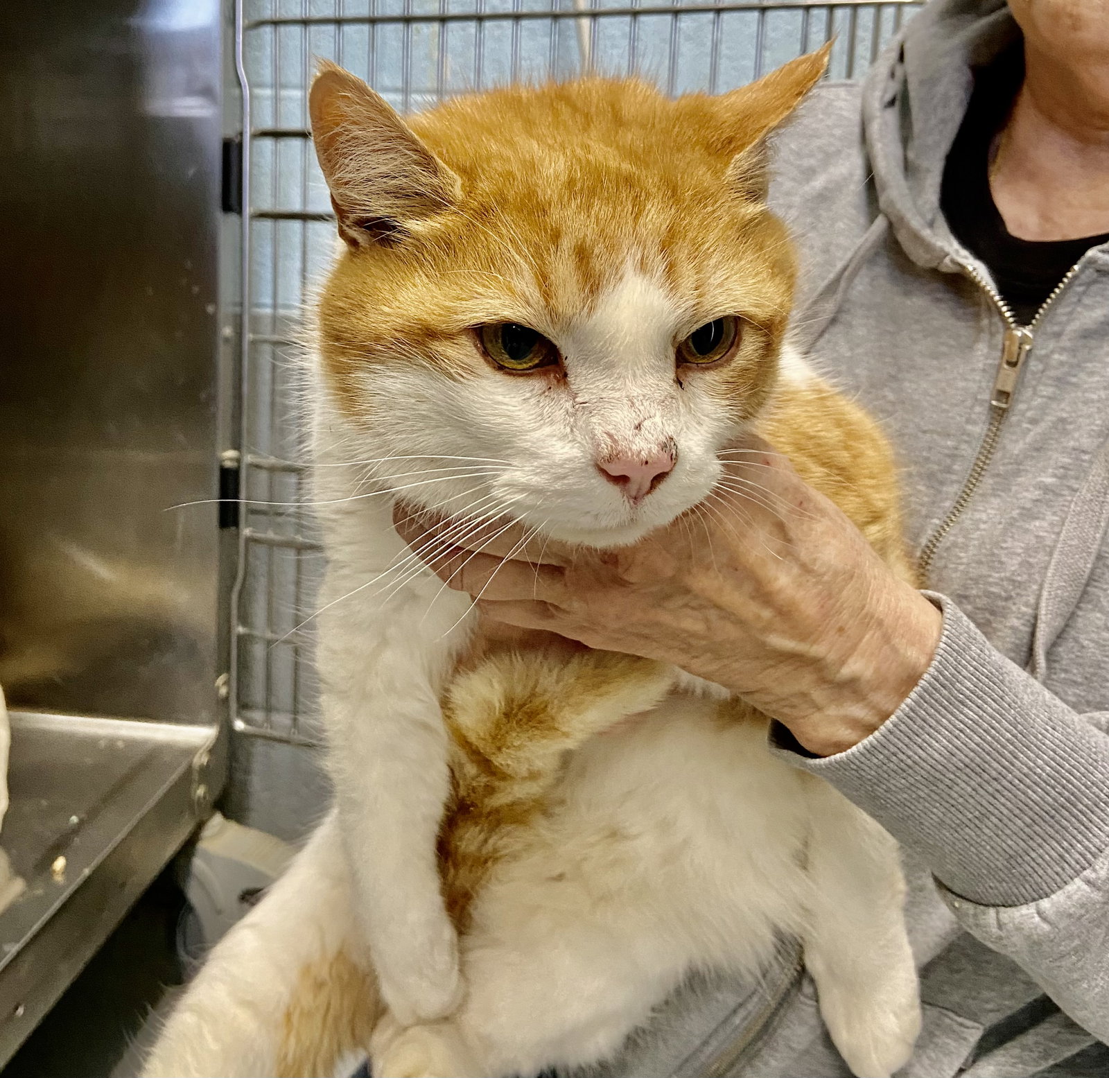 Sunny: At shelter Image