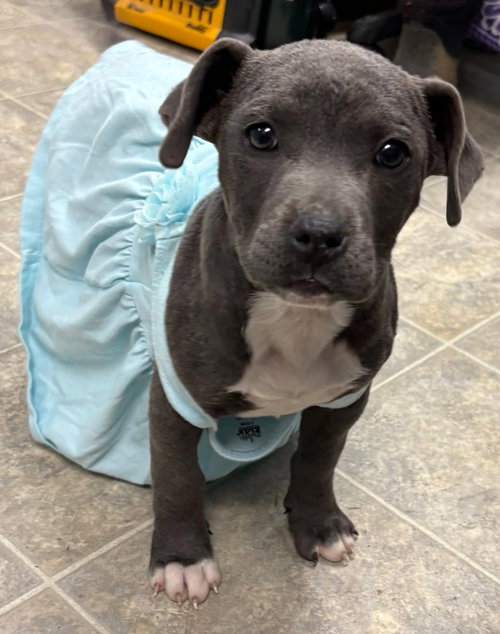 Girl2 - At shelter