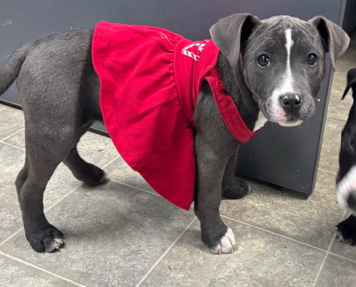 Girl3 - At shelter