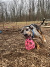 Duke: At shelter