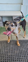 Duke: At shelter