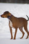 Prince: At shelter