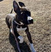 Nova: At shelter