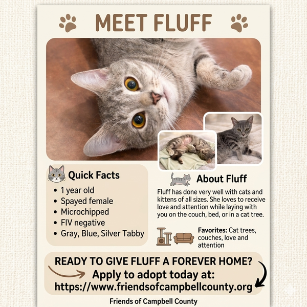 Fluff: Visit At Petsmart Lynchburg