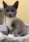 Charm: Not at the shelter (Faith)