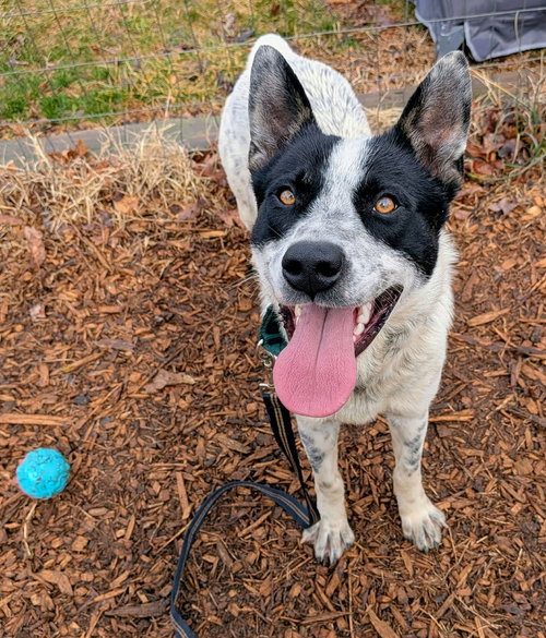 Tracker: At shelter