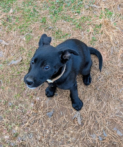 Doe: Not at shelter (Tiffany)