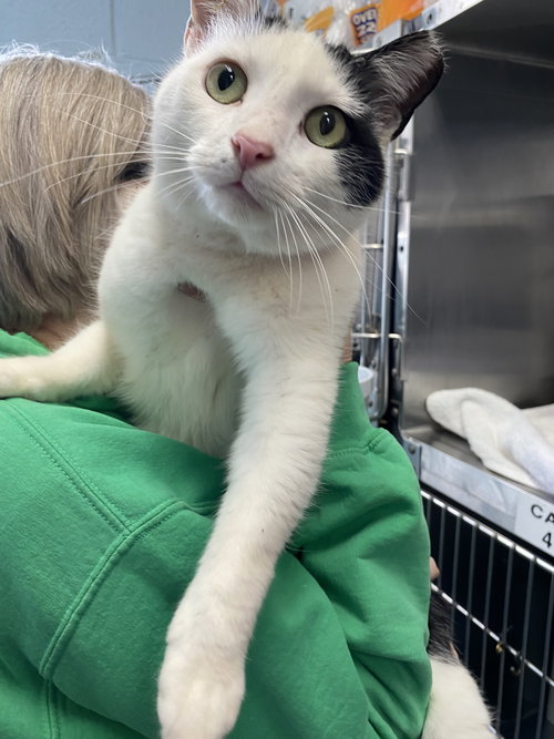 Cookie: Visit At Petsmart Lynchburg