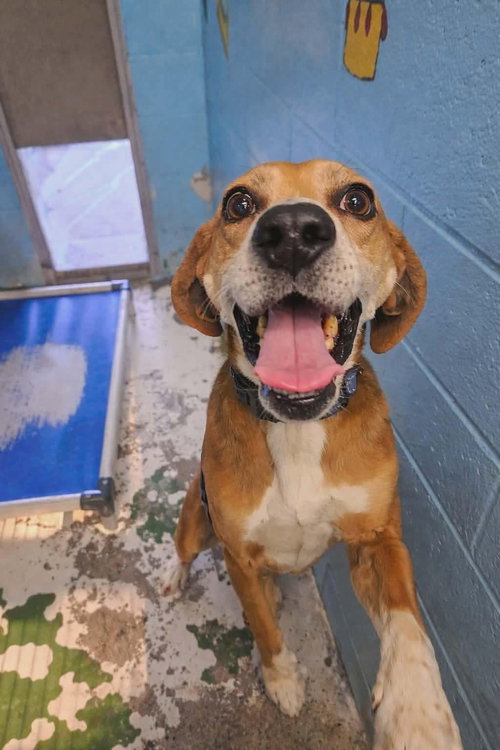 Carl: Not at shelter