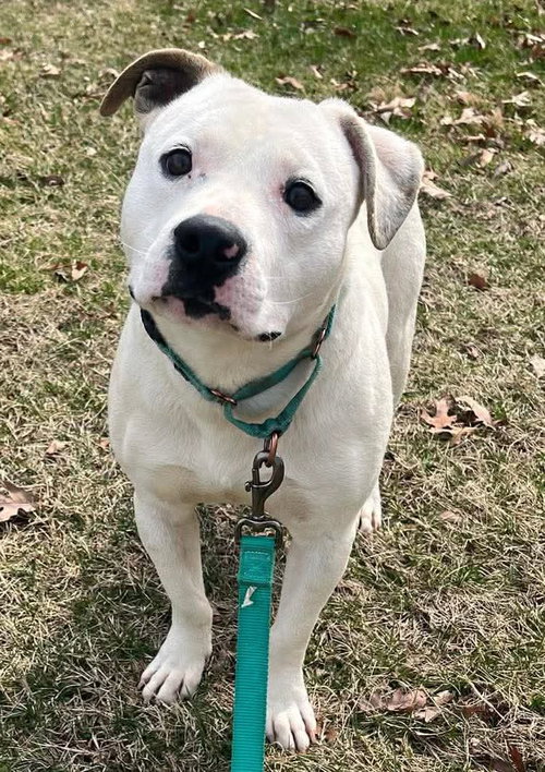 Ghost: At shelter