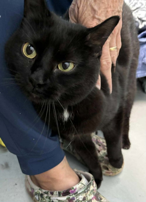 Nappa: Visit At Petsmart Lynchburg