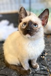 Bloom: Not at the Shelter (Faith) Avail 4/10