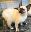 Bloom: Not at the Shelter (Faith) Avail 4/10