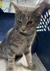 Snickers:  Visit At Petsmart