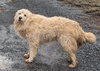 Pollux: Not at shelter