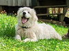 Pollux: Not at shelter