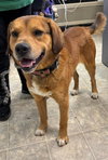 Ireland: At shelter available  3/23