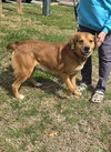 Ireland: At shelter available  3/23