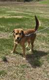 Ireland: At shelter available  3/23