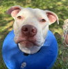 Rainbow Brite: Not at the shelter (Barbe)