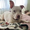 Rainbow Brite: Not at the shelter (Barbe)