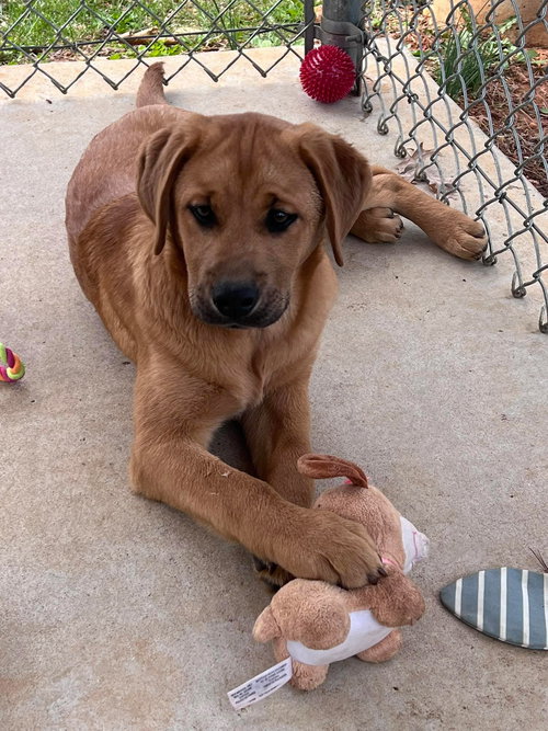 Dani: Not At shelter