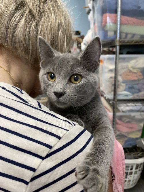 Catia - At shelter