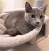 Catia: Not at the Shelter (Faith) - Photo 2