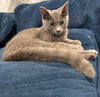 Catia: Not at the Shelter (Faith) - Photo 5