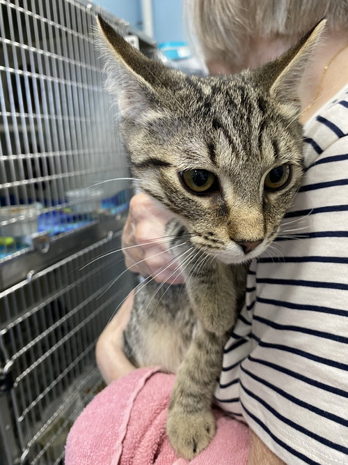 Sergio - At shelter
