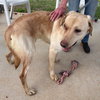 Kingsley - At shelter