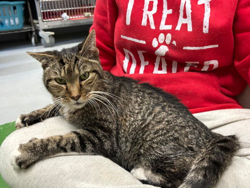 Rupert - At shelter