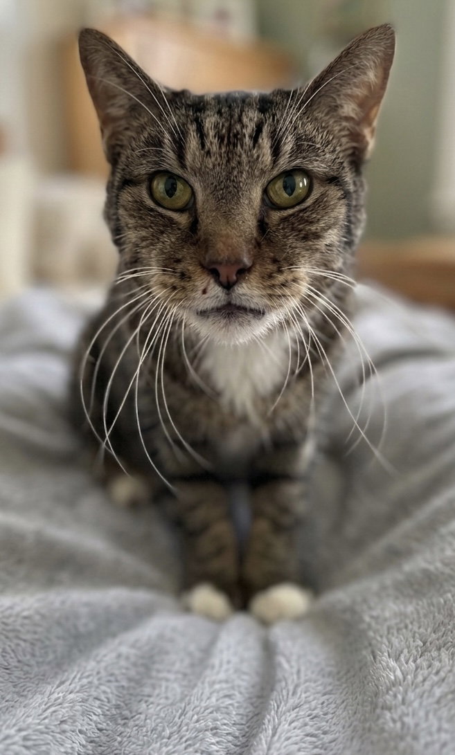 Rupert: Not at shelter (Donna)