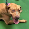 Sunny - At shelter available 4/12